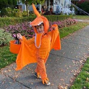 Pottery Barn Kids Pterodactyl Halloween Costume Size 4-6